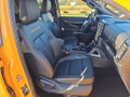 Daumennagel 14 - Ford Ranger 3,0l EcoBlue Doppelkabine Autm. Wildtrak