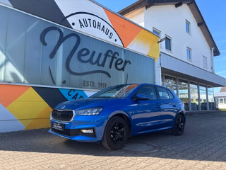 Skoda Fabia Gebrauchtwagen Kaufen