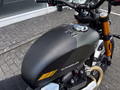 Daumennagel 19 - Triumph Scrambler 900 MY26 Sofort Verfügbar!