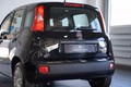 Daumennagel 11 - Fiat Panda Base  NEUFAHRZEUG