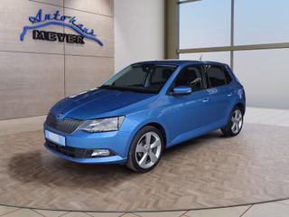Skoda Fabia Gebrauchtwagen Kaufen