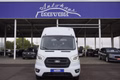 Daumennagel 1 - Ford Transit Bus 460 L4H3 18-Sitzer UPE=87000Euro!      **