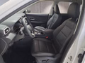 Daumennagel 9 - MG ZS Luxury 1,5 Hybrid+ 197PS 18*Alu/LED/Navi/Leder/Kamera **