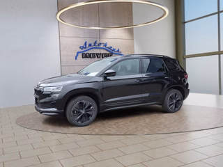 Skoda Karoq age.one-day registration Kaufen