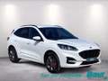 Daumennagel 2 - Ford Kuga 2.5 Duratec PHEV ST-LINE X LED NAVI Winter