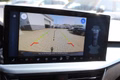 Daumennagel 4 - Ford Focus Turnier 1,0 EcoBoost Hybr .Active X Aut Panoramadach