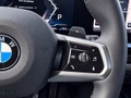 Daumennagel 13 - BMW 520d M Sport Touring HUD/AHK/NAVI/STH/ACC