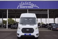 Daumennagel 1 - Ford Transit Bus 460 L4H3 18-Sitzer UPE=87000Euro!      **