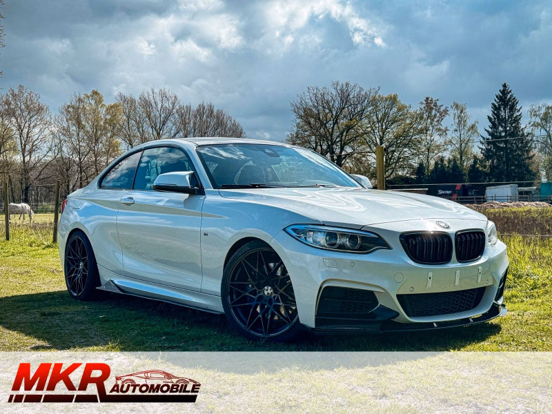 BMW M235i Coupe Performance Pano H/K H&R Remus Memory