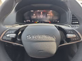 Daumennagel 23 - Skoda Karoq 1,5TSI DSG aAHK/ACC/Kamera/Winterp.