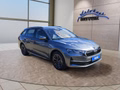 Daumennagel 7 - Skoda Octavia Combi 2,0TDI DSG Navi/ACC/Kamera/Winterp.