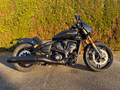 Daumennagel 3 - Indian Scout 101 Limited + Tech MY 2026
