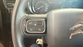 Daumennagel 20 - Citroën Berlingo MPV Feel M