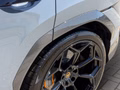 Daumennagel 25 - Lamborghini Urus Performante *FULL CARBON*ADAS*B&O*AKRAPOVIC