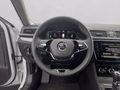 Daumennagel 15 - Skoda Superb Combi Style 2,0 TDI DSG