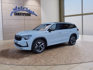 Skoda Kodiaq age.one-day registration Kaufen