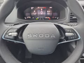 Daumennagel 23 - Skoda Karoq 1,5TSI DSG 18*Alu/aAHK/ACC/Kamera/Winterp.       **