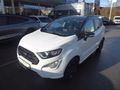 Daumennagel 1 - Ford EcoSport ST-Line