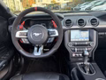 Daumennagel 15 - Ford Mustang Convertible 5.0 Ti-VCT V8 Aut. GT