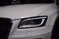 Daumennagel 39 - Audi Q5 S-LINE/PANO/BANG OLUFSEN/PREMIUM PLUS