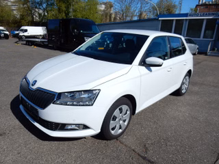 Skoda Fabia Gebrauchtwagen Kaufen