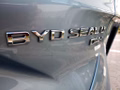 Daumennagel 49 - BYD Seal U DM-i erst 8tkm/Leder Beige/Pano/HUD/ACC TOP