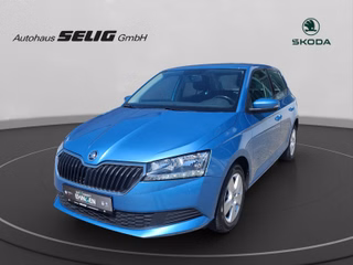 Skoda Fabia III Ambition 1.0 95 PS, Klima, Aluräder