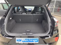Daumennagel 7 - Ford Puma ST X