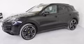 Daumennagel 2 - Porsche Cayenne E-Hybrid*Panorama*AHK