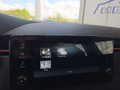 Daumennagel 42 - Skoda Kamiq Monte Carlo 1,5TSI DSG AHK/Matrix/el.Klappe         **