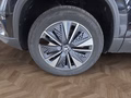 Daumennagel 14 - Skoda Karoq 1,5TSI DSG 4*J.Gar/aAHK/Kamera/Kessy/Winterp.  **