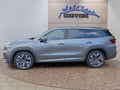 Daumennagel 2 - Skoda Kodiaq Sportline 1,5 TSI iV aAHK/Pano/Matrix/Navi  **