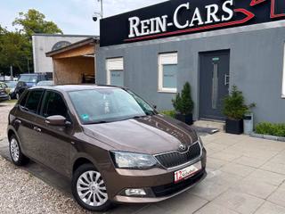 Skoda Fabia Gebrauchtwagen Kaufen