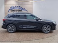 Daumennagel 6 - Ford Kuga ST-Line 1,5 186PS Aut.5*J.Gar/LED/Navi/Winterp.