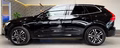 Daumennagel 8 - Volvo XC60 B4 Momentum Pro AWD XENIUM Mild-Hybrid