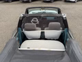 Daumennagel 20 - Ford Escort 1.6 Cabrio*