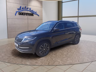 Skoda Kodiaq Gebrauchtwagen Kaufen