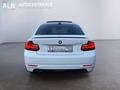 Daumennagel 4 - BMW 228i F22 Coupe/M-SPORT/AUTOMATIK/LEDER/KEYLESS-GO