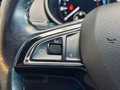 Daumennagel 39 - Skoda Octavia Elegance 1.8 TSI CANTON|4xSHZ|PDC|MFL|TEMPOMAT