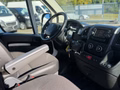 Daumennagel 9 - Peugeot Boxer Kasten 333 L3H2 /Kamera/Standheizung/AHK+