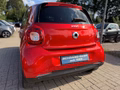 Daumennagel 10 - Smart ForFour *AMBIENTE*PRIME*AMBIENTE*90PS*AUTOMATIK*