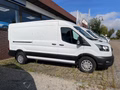 Daumennagel 4 - Ford Transit Kasten 350 L3 Trend