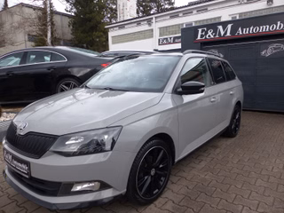 Skoda Fabia Gebrauchtwagen Kaufen