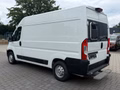 Daumennagel 3 - Peugeot Boxer Kasten Hochraum 333 L2H2 Premium/Kamera+