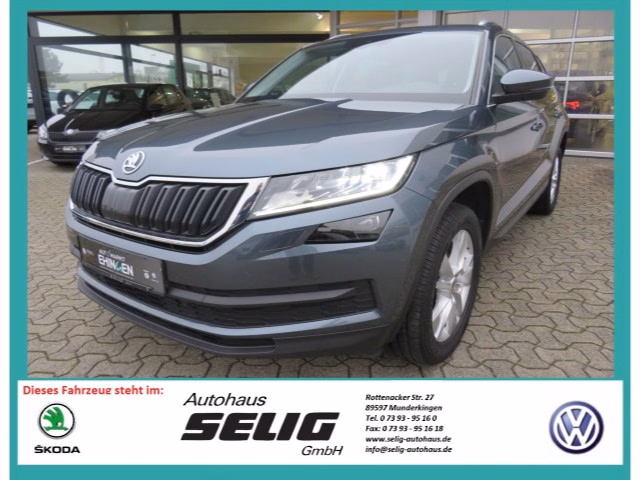 Skoda Kodiaq Style 2.0 TDI 4x4, 7 Sitzer, Business Amundsen, SH