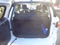 Daumennagel 11 - Ford EcoSport ST-Line