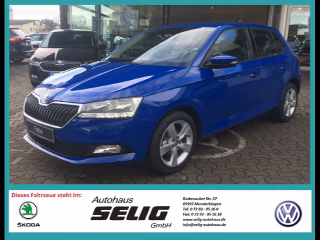 Skoda Fabia III 1.0 MPI Cool Plus, Alu, PDC, 5 J. Garantie