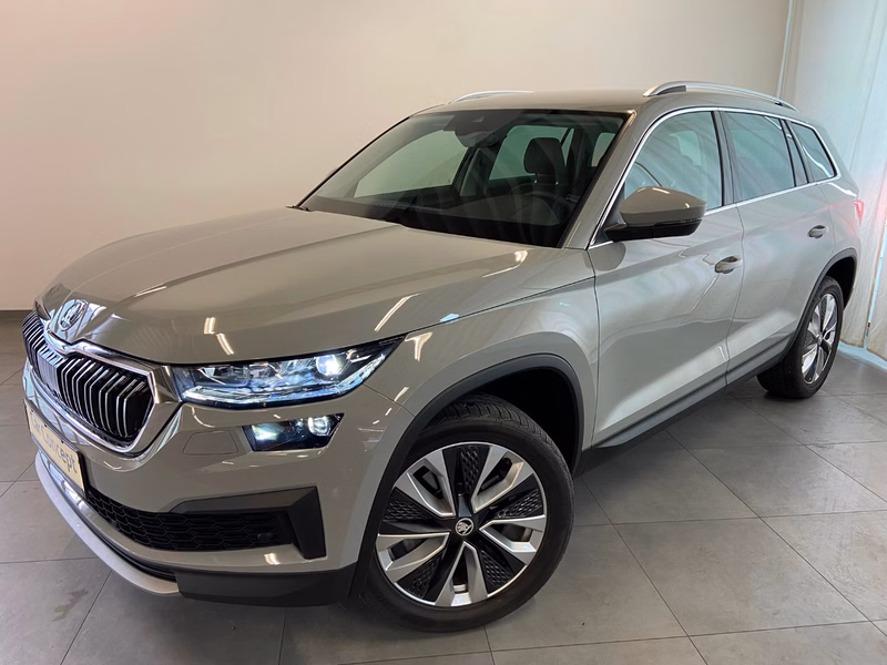 Skoda Kodiaq Style 4x4 TSI LEDER 7 SITZE AHK StHZ 19"
