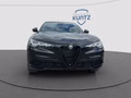 Thumbnail 8 - Alfa Romeo Stelvio 2.2 Diesel 16V 154kW Q4 Panorama-Dach,AHK,Navi