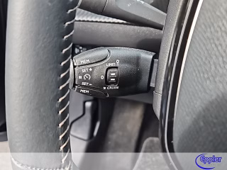 Peugeot e-208 Active Pack  Kamera Sitzheizung DAB - foto 4